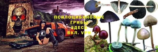 мдма Богородицк