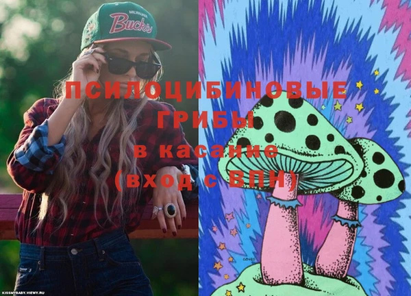 мдма Богородицк